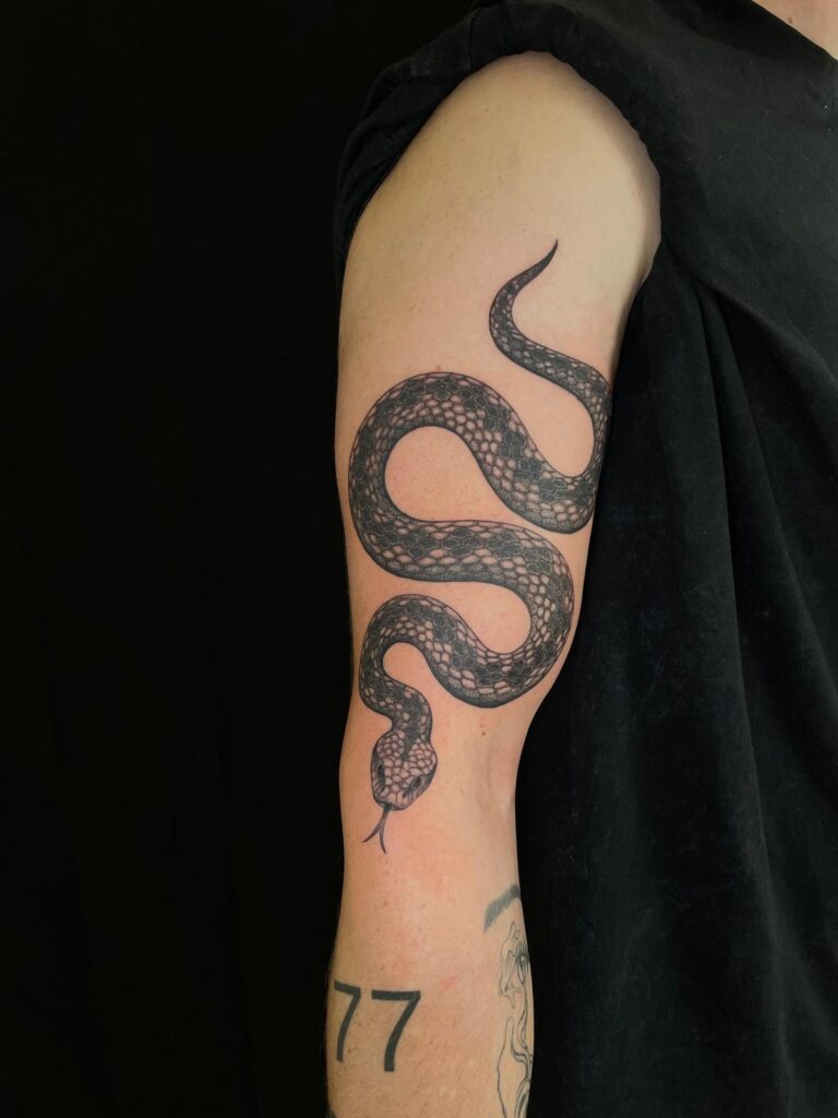 Stinging Bee Tattoostudio Miltenberg - Tattoo einer Schlange auf dem Arm